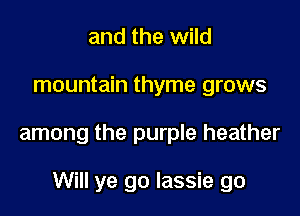 and the wild
mountain thyme grows

among the purple heather

Will ye go lassie go