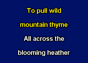 To pull wild
mountain thyme

All across the

blooming heather