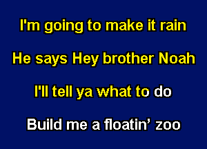 I'm going to make it rain
He says Hey brother Noah
I'll tell ya what to do

Build me a floatin' zoo