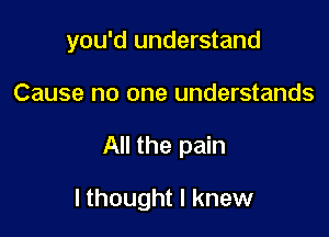 you'd understand

Cause no one understands
All the pain

I thought I knew