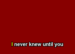 I never knew until you