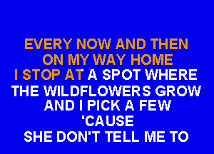 EVERY NOW AND THEN
ON MY WAY HOME
I STOP AT A SPOT WHERE

THE WILDFLOWERS GROW
AND I PICK A FEW

'CAUSE
SHE DON'T TELL ME TO