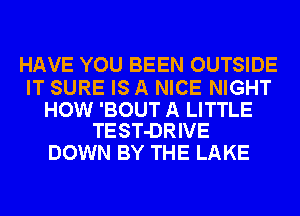 HAVE YOU BEEN OUTSIDE

IT SURE IS A NICE NIGHT

HOW 'BOUT A LITTLE
TEST-DRIVE

DOWN BY THE LAKE