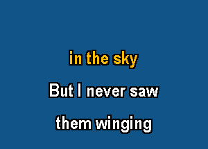 in the sky

Butl never saw

them winging