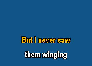 Butl never saw

them winging