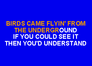 BIRDS CAME FLYIN' FROM

THE UNDERGROUND
IF YOU COULD SEE IT

THEN YOU'D UNDERSTAND