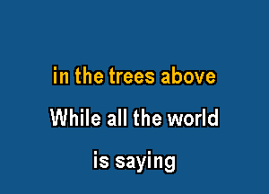 in the trees above

While all the world

is saying