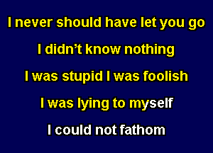 I never should have let you go
I diant know nothing
I was stupid I was foolish
I was lying to myself

I could not fathom