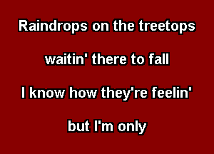 Raindrops on the treetops

waitin' there to fall

I know how they're feelin'

but I'm only
