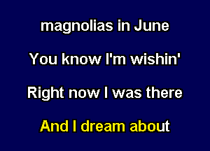 magnolias in June

You know I'm wishin'

Right now I was there

And I dream about