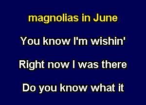 magnolias in June

You know I'm wishin'

Right now I was there

Do you know what it