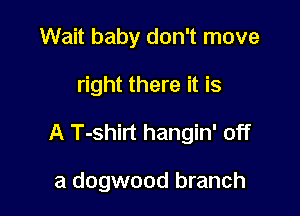 Wait baby don't move

right there it is

A T-shirt hangin' off

a dogwood branch