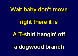 Wait baby don't move

right there it is

A T-shirt hangin' off

a dogwood branch