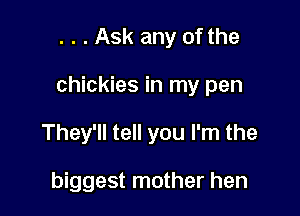 . . . Ask any of the

chickies in my pen

They'll tell you I'm the

biggest mother hen
