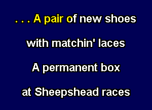. . . A pair of new shoes
with matchin' laces

A permanent box

at Sheepshead races
