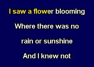 I saw a flower blooming

Where there was no
rain or sunshine

And I knew not