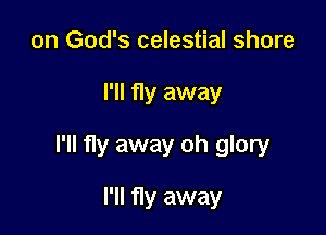 on God's celestial shore

I'll fly away

I'll fly away oh glory

I'll fly away