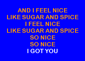 AND I FEEL NICE
LIKE SUGAR AND SPICE
I FEEL NICE
LIKE SUGAR AND SPICE
SO NICE
SO NICE
I GOT YOU