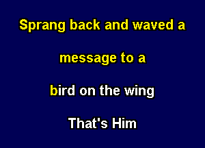 Sprang back and waved a

message to a

bird on the wing

That's Him