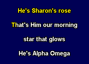 He's Sharon's rose
That's Him our morning

star that glows

He's Alpha Omega