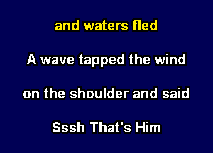 and waters fled

A wave tapped the wind

on the shoulder and said

Sssh That's Him