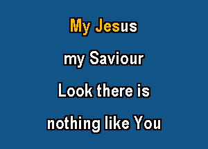 My Jesus
my Saviour

Look there is

nothing like You