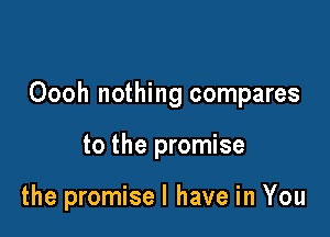 Oooh nothing compares

to the promise

the promisel have in You