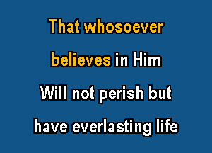 That whosoever
believes in Him

Will not perish but

have everlasting life
