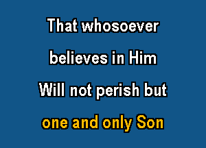 That whosoever

believes in Him

Will not perish but

one and only Son
