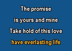 The promise

is yours and mine

Take hold ofthis love

have everlasting life