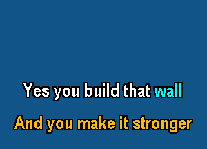 Yes you build that wall

And you make it stronger
