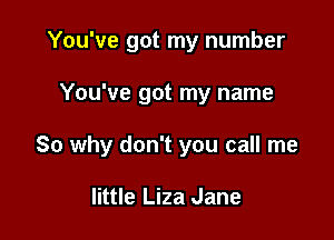 You've got my number

You've got my name

So why don't you call me

little Liza Jane