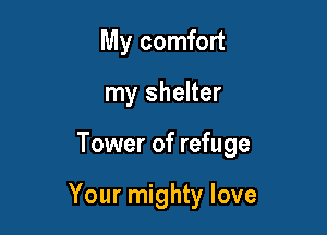 My comfort
my shelter

Tower of refuge

Your mighty love