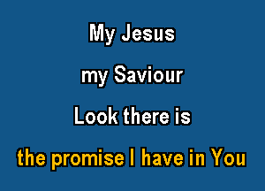 My Jesus
my Saviour

Look there is

the promisel have in You