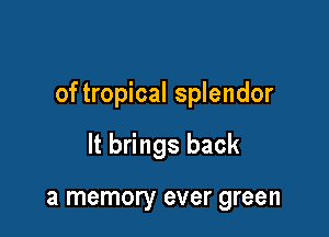 of tropical splendor

It brings back

a memory ever green