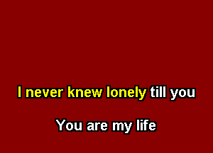 I never knew lonely till you

You are my life