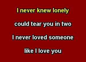 I never knew lonely
could tear you in two

I never loved someone

like I love you