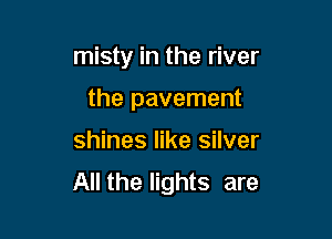 misty in the river

the pavement
shines like silver
All the lights are
