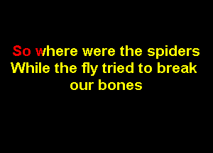 So where were the spiders
While the fly tried to break

ourbones