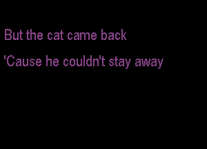 But the cat came back

'Cause he couldn't stay away