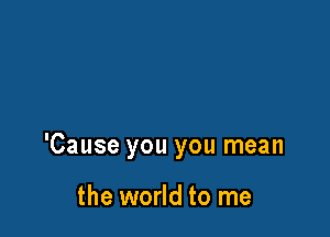 'Cause you you mean

the world to me