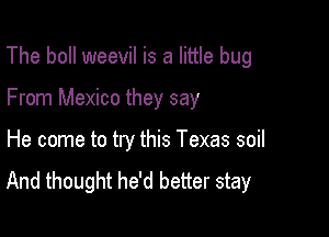 The boll weevil is a little bug

From Mexico they say
He come to try this Texas soil
And thought he'd better stay