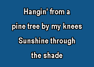 Hangin' from a

pine tree by my knees

Sunshine through
the shade