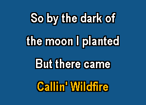 So by the dark of

the moon I planted

But there came

Callin' Wildfire