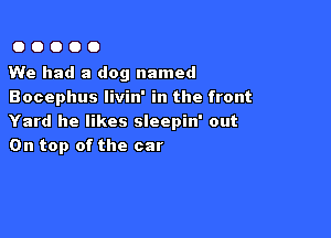 00000

We had a dog named
Bocephus livin' in the front

Yard he likes sleepin' out
On top of the car