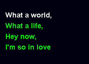 What a world,
What a life,

Hey now,
I'm so in love