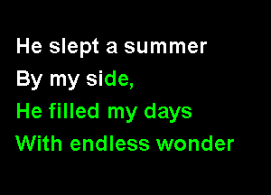 He slept a summer
By my side,

He filled my days
With endless wonder