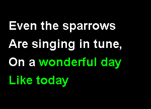 Even the sparrows
Are singing in tune,

On a wonderful day
Like today