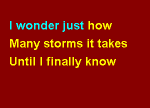 lwonder just how
Many storms it takes

Until I finally know