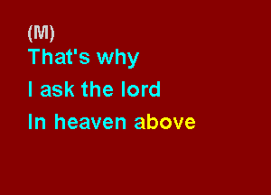 (M)
That's why

I ask the lord

In heaven above